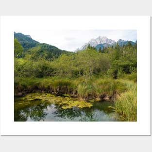 Zelenci Nature Reserve, Slovenia Posters and Art